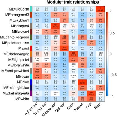 Genome-Wide Identification, Characterization and Function Analysis of Lineage-Specific Genes in the Tea Plant Camellia sinensis